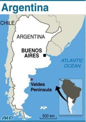 Graphic map showing the location of Peninsula Valdes in Argentina