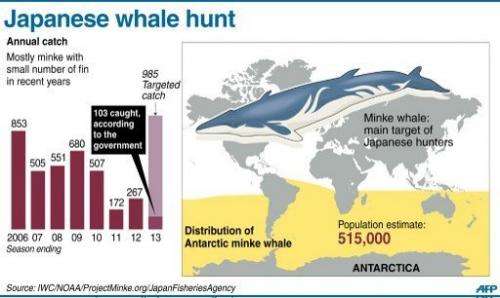 Graphic on Japan's annual whale catch