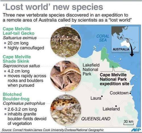 Graphic on three new vertebrate species discovered in a remote part of northern Australia