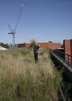 Green roofs may be a source of pollution