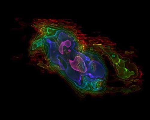 New study reveals that stellar winds scatter star-forming material (w/ Video)