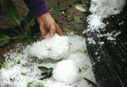Hailstones are shown after a heavy storm hit parts of Dongguan, south China's Guangdong province, March 20, 2013