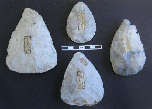 Handaxe design reveals distinct Neanderthal cultures
