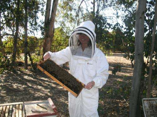 Health of honey bees adversely impacted by selenium