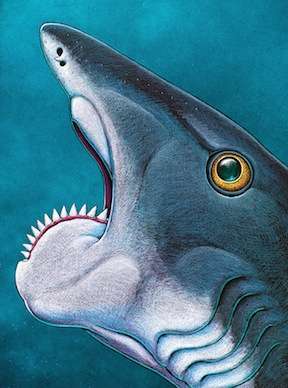 Helicoprion: Scientists solve mysteries of ancient 'shark' with spiral-toothed jaw