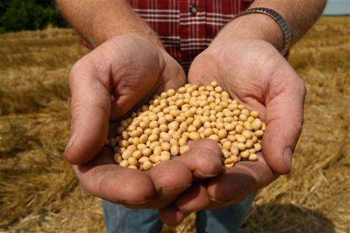 High-stakes fight over soybeans at US high court