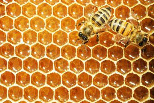 Honey may not be advisable to those who live with diabetes
