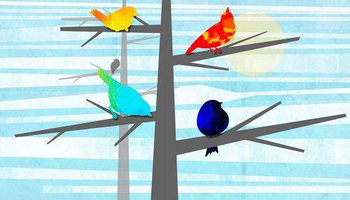 How human language could have evolved from birdsong
