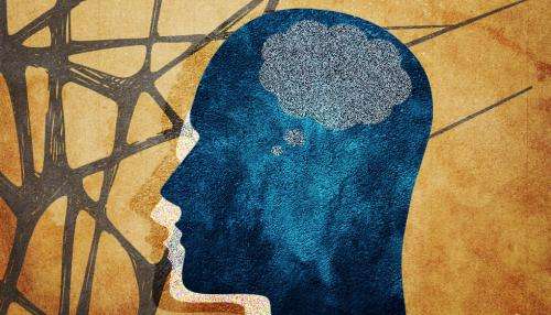 旧的记忆消失:发现一个基因对于记忆灭绝可能导致新的PTSD治疗吗