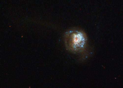 Hubble Sees a Swirl of Star Formation