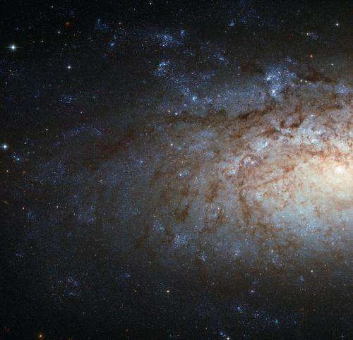 Hubble View of a Special Spiral Galaxy