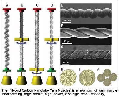 Hybrid carbon nanotube yarn muscle