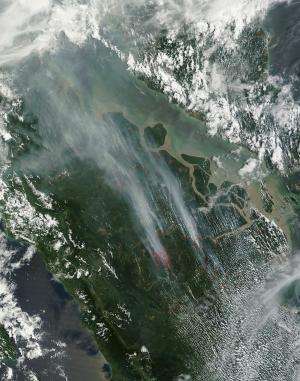 Illegal fires set in Indonesia cause smog problem