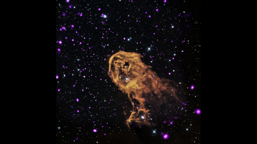 Image: Elephant Trunk Nebula