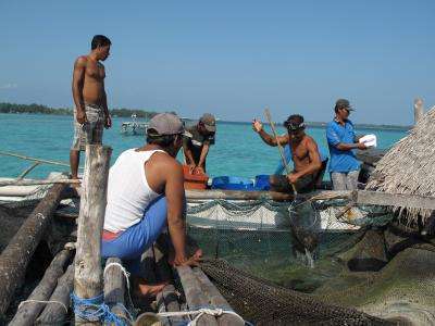 Indonesian fishing communities find balance between biodiversity and development