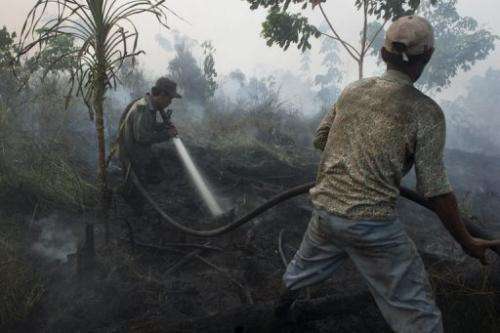 Indonesian workers from a palm oil company extinguish a forest fire in Kampar district, on Sumatra island, June 29, 2013