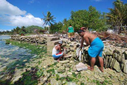 Inhabitants of Kiritimati coral atoll build a stone seawall to struggle against sea level rise cause by global warming, in this 