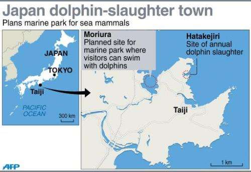 Japan dolphin-slaughter town