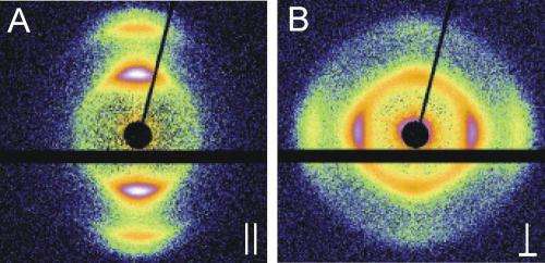 Particles changing angle: Unexpected orientation in capillaries