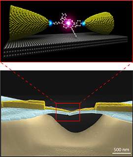Effect of image-charges on electron transport better understood