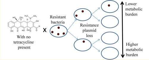Lack of energy an enemy to antibiotic-resistant microbes