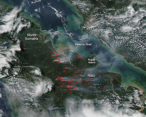 Land-clearing Blazes in Indonesia