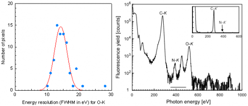 Lattice location determination of trace nitrogen dopants in semiconductor silicon carbide (SiC)