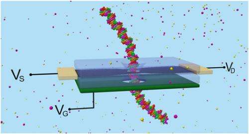 Through a nanopore, ionically: Graphene quantum transistor for next-generation DNA sensing