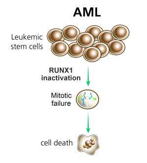 Leukemia cells are addicted to a healthy gene
