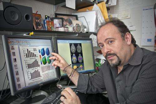 Lights, chemistry, action: New method for mapping brain activity