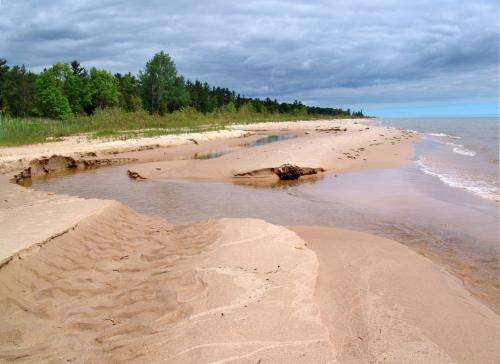 Limited food may be significantly changing Great Lakes ecosystems