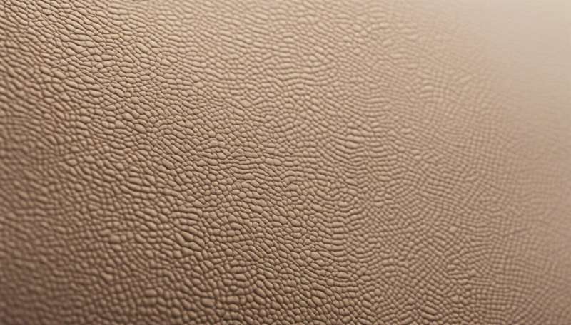 Major step forward for environmentally friendly leather tanning