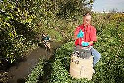 Manure spills: Detailing the damage, finding a fix