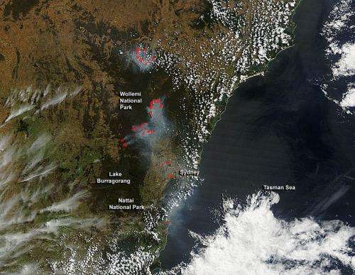 Many bushfires in New South Wales, Australia