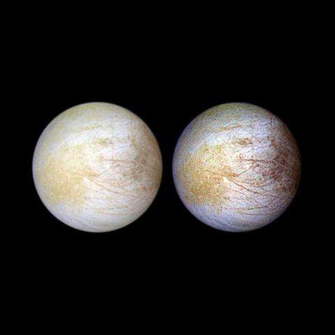 Mapping the chemistry needed for life at Europa