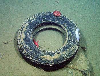 MBARI research shows where trash accumulates in the deep sea