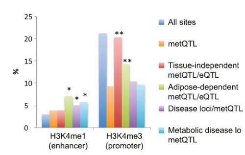 Methylation linked to metabolic disease