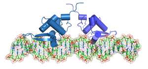Molecular biology: Picking out productive partnerships