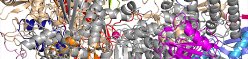 Molecular biology: Designer of protein factories exposed