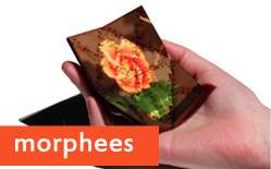 Morphees: Shape-shifting mobile devices (w/ Video)
