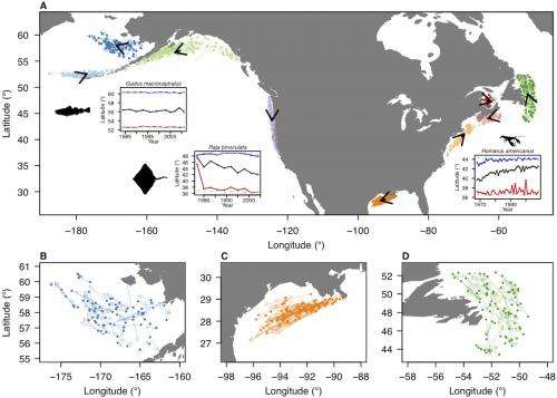 Movement of marine life follows speed and direction of climate change