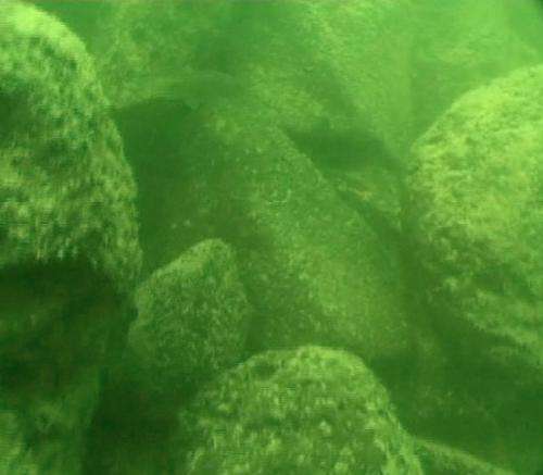 Mysterious monument found beneath the Sea of Galilee