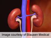 n-3 PUFA may reduce markers of kidney disease in T2DM