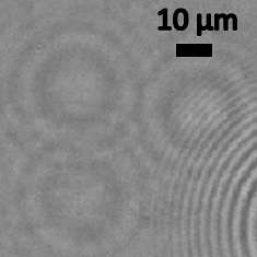 UCLA's new nano-lens microscopes can detect viruses, other objects at nanoscale