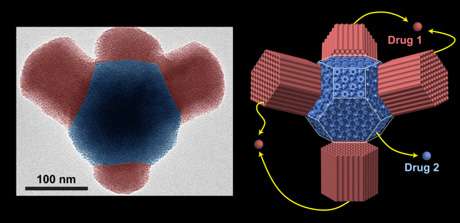 Nano compartments may aid drug delivery, fuel cell design