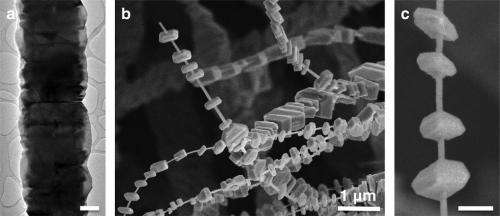 Semiconductor ‘shish kabob’ nanostructures combine properties from different dimensions