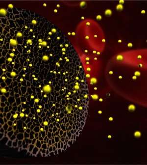 Nanotech'ed RNA drug reduces ovarian cancer tumors by 83 percent