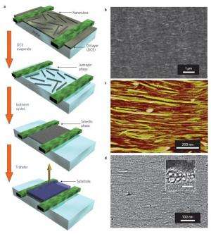 Densest array of carbon nanotubes paves way toward post-silicon technology