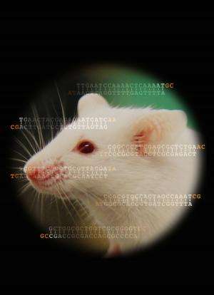 Researchers discover innate virus-killing power in mammals