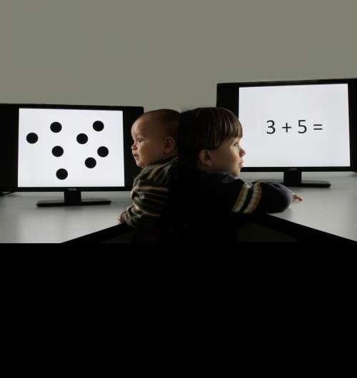 Babies' number sense could predict future math skills